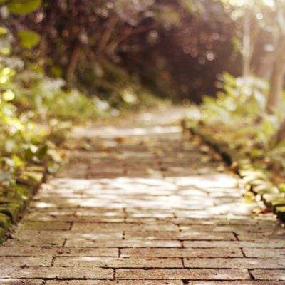 b体育官方下载入口手机版